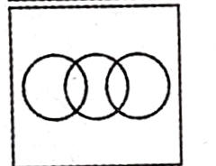 TraineeMock MCQs