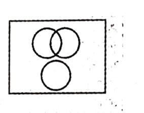 TraineeMock MCQs