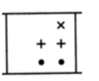 TraineeMock MCQs