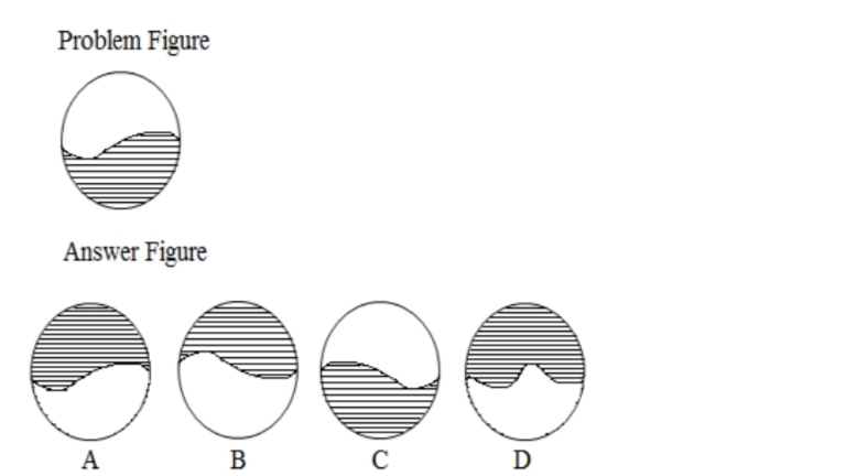 TraineeMock MCQs