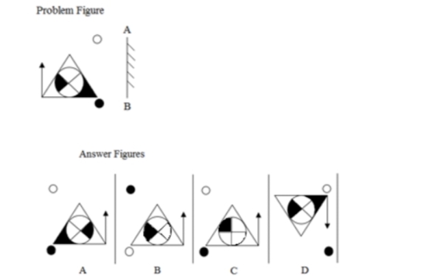 TraineeMock MCQs