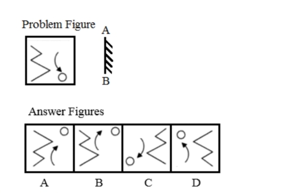 TraineeMock MCQs