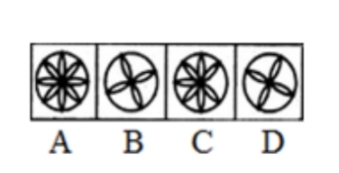 TraineeMock MCQs