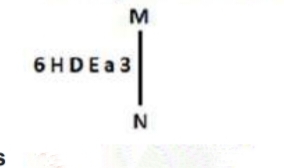 TraineeMock MCQs