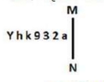 TraineeMock MCQs