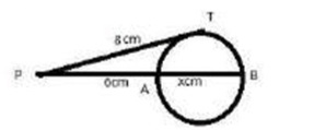 TraineeMock MCQs