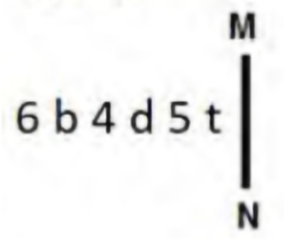 TraineeMock MCQs