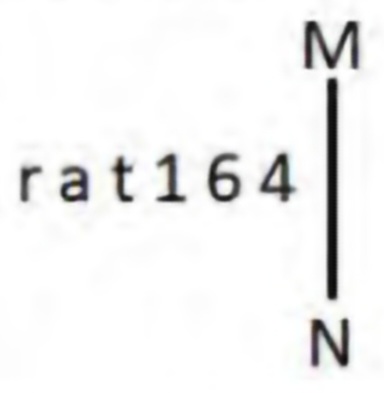 TraineeMock MCQs